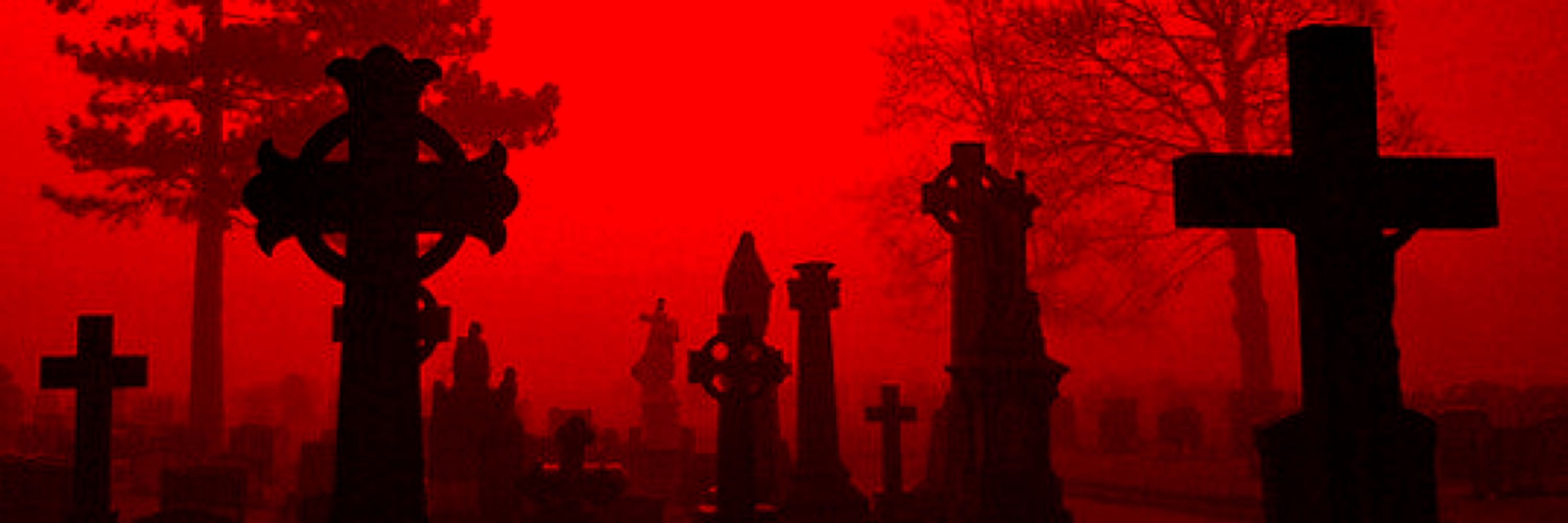 ZomVom