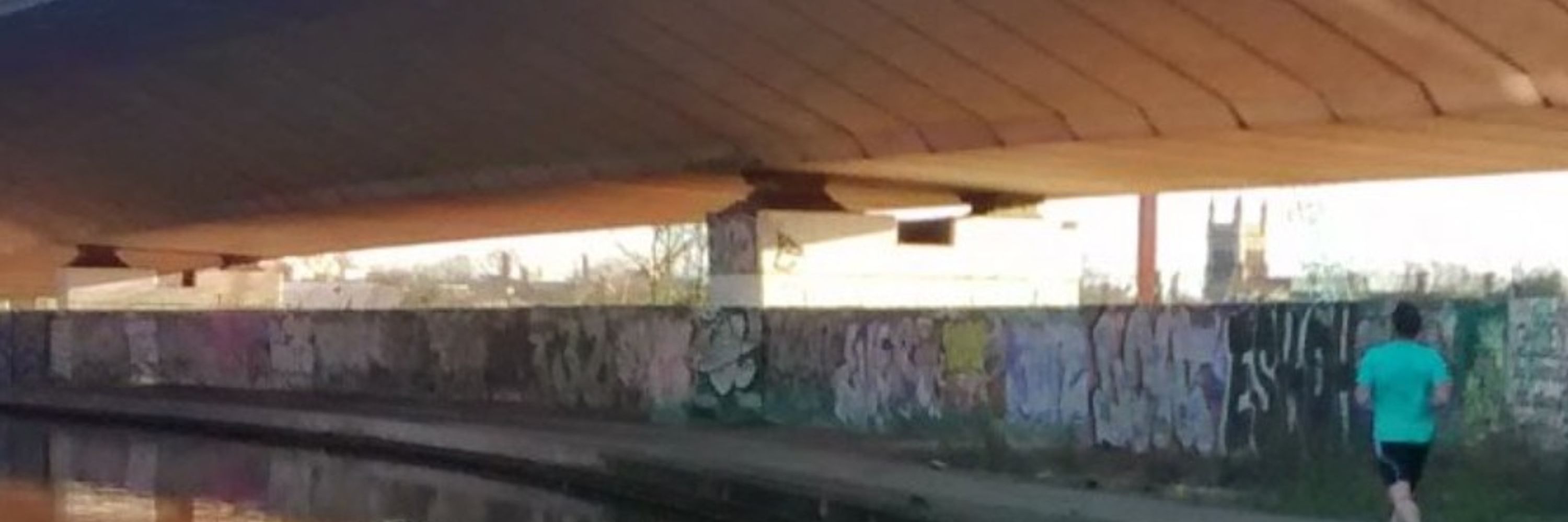 Diniel