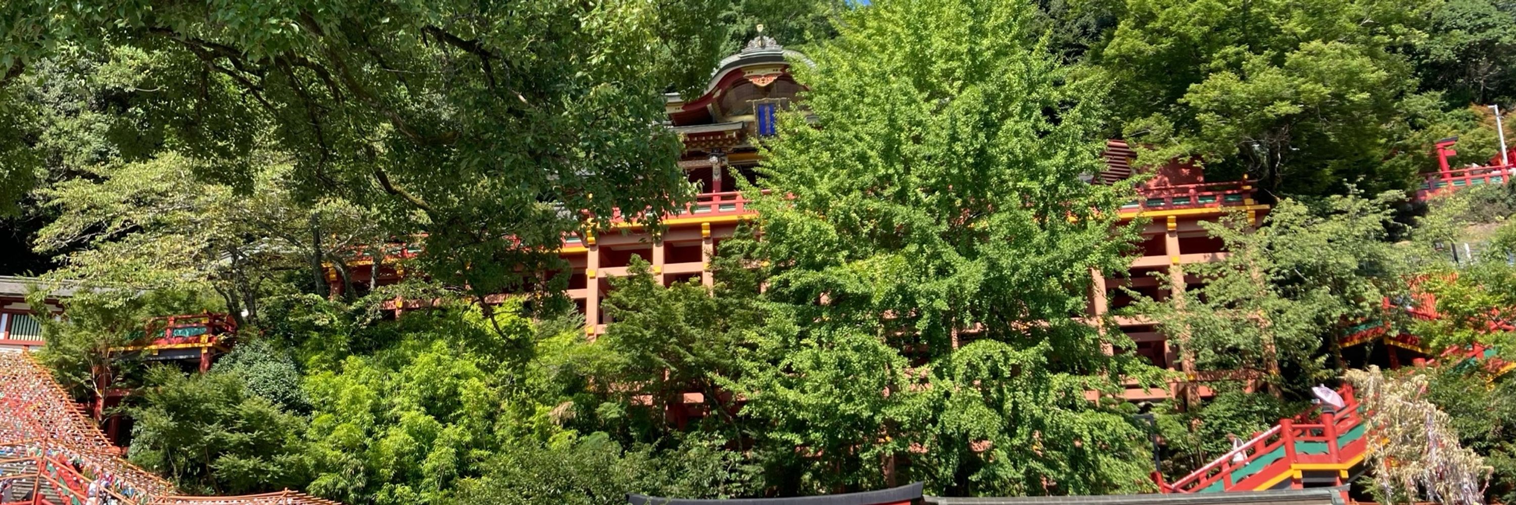 山下荷