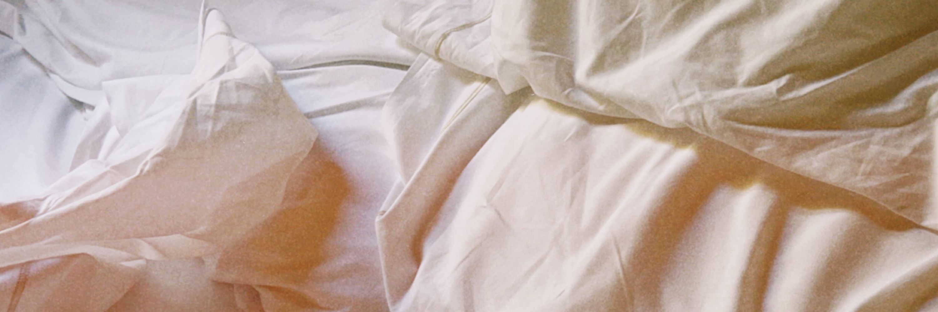 MY HORNY DIARY