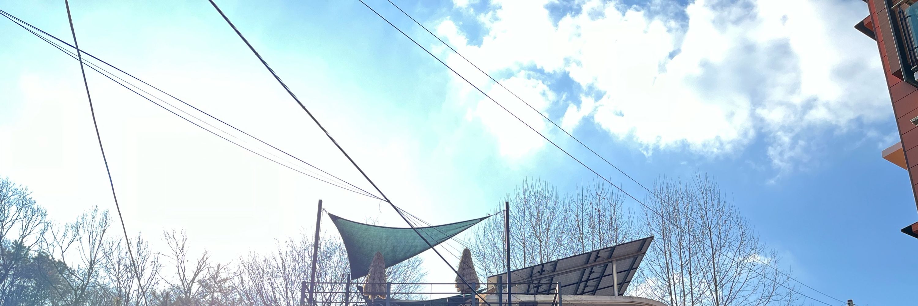 김진원