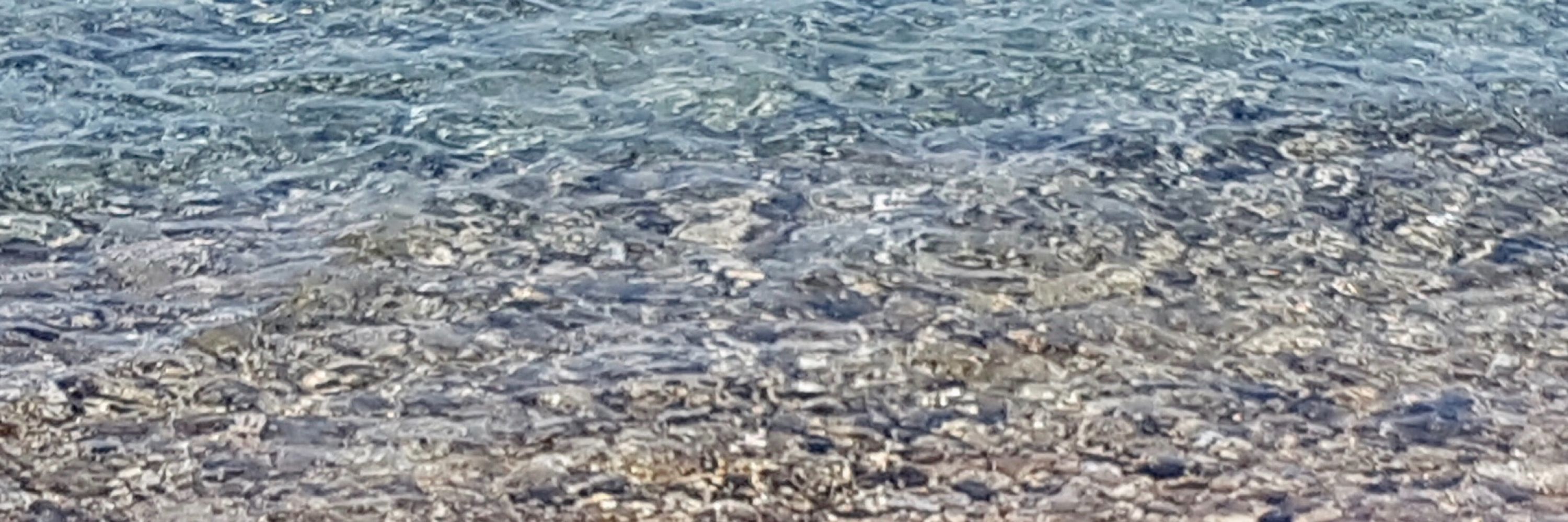 Argiro Vatakis