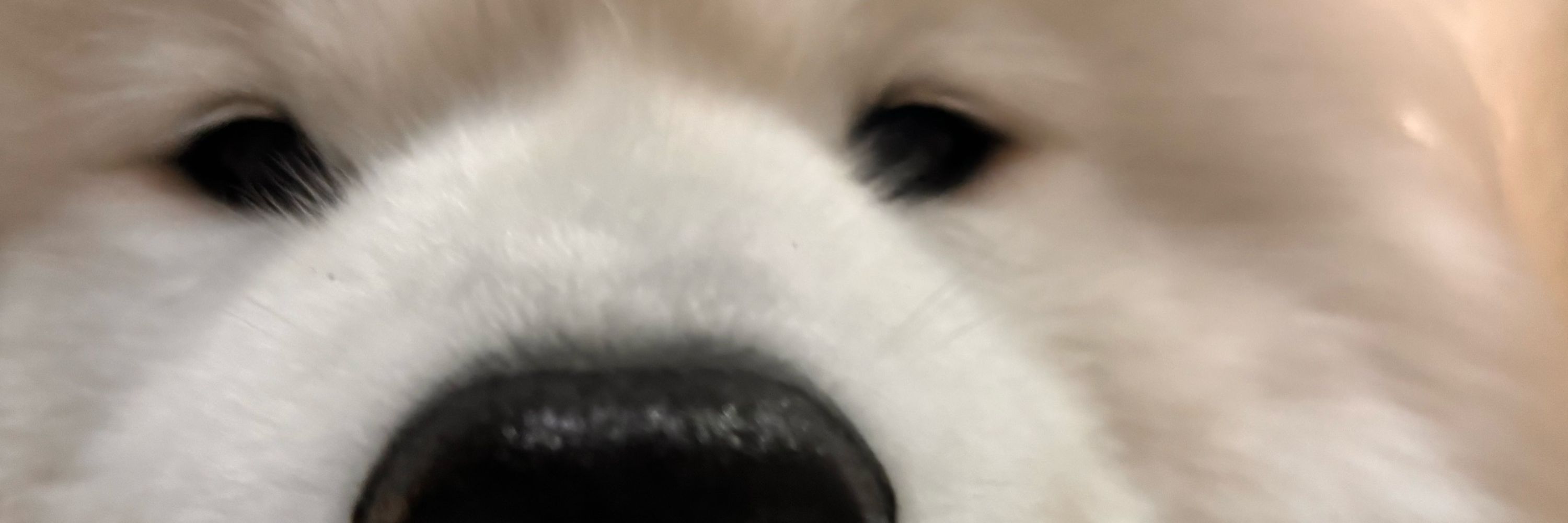 담현