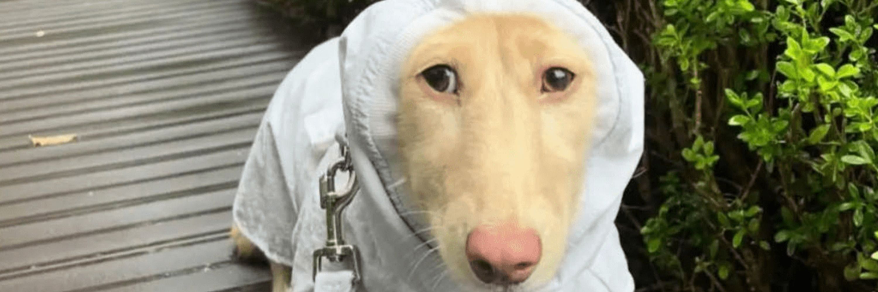 Jim