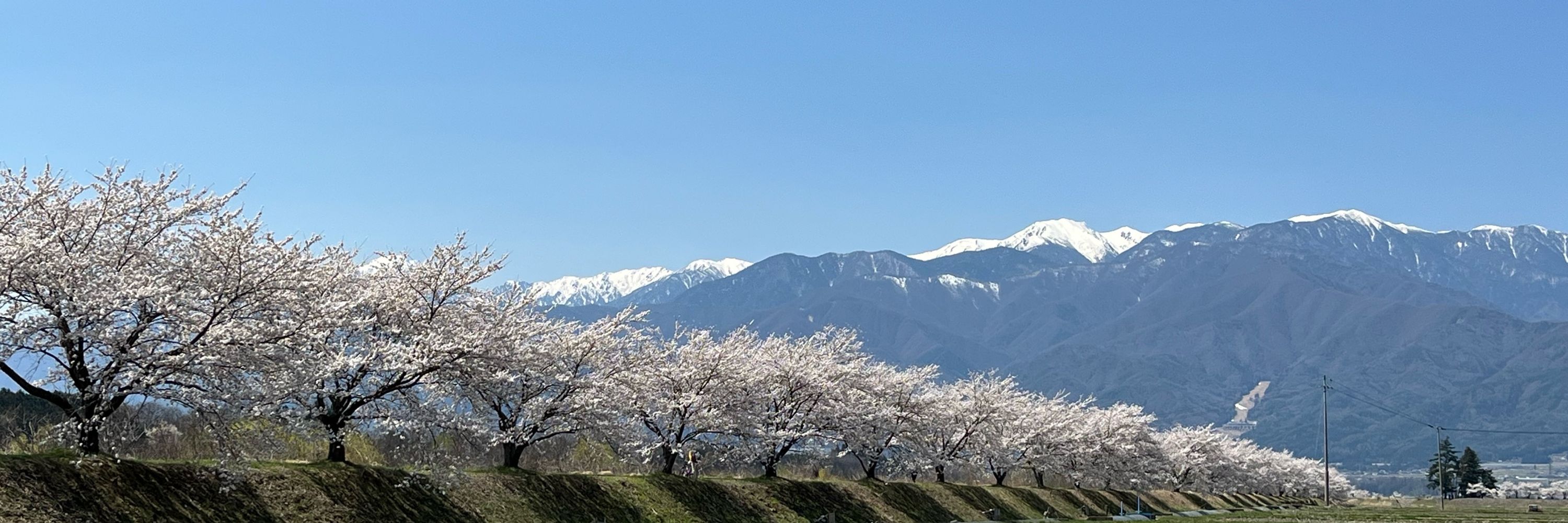 morimichi