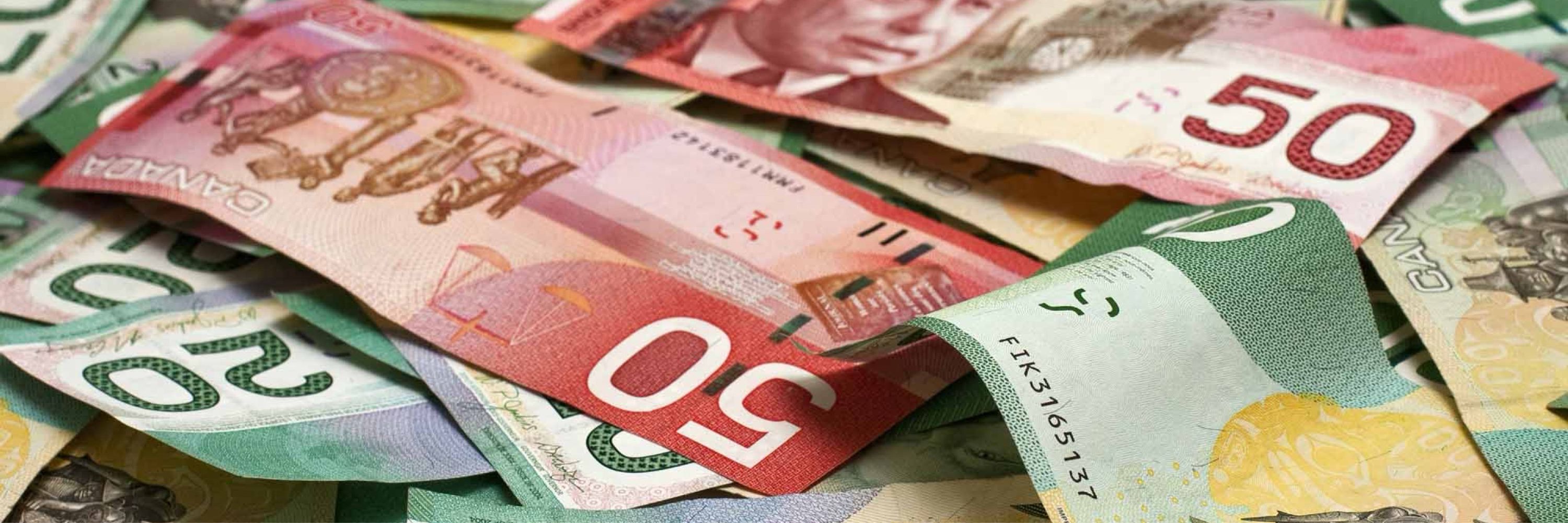 Paul The Taxman 🇨🇦 🇺🇦 🇵🇸🇨🇦