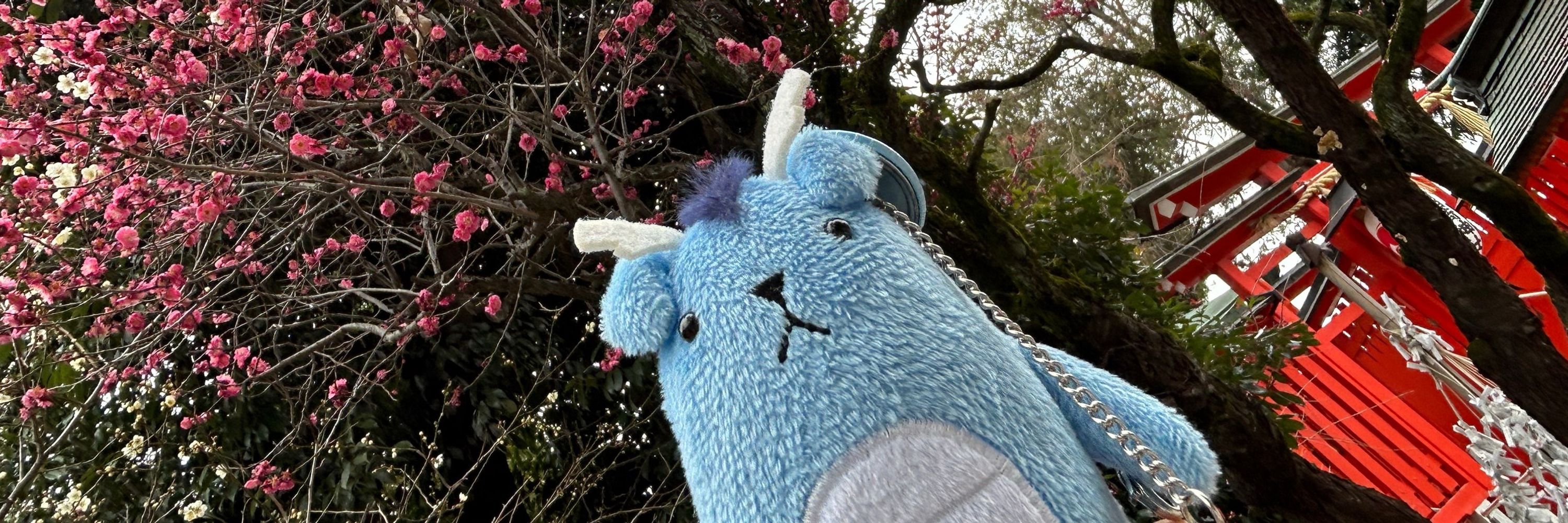 もふもふ