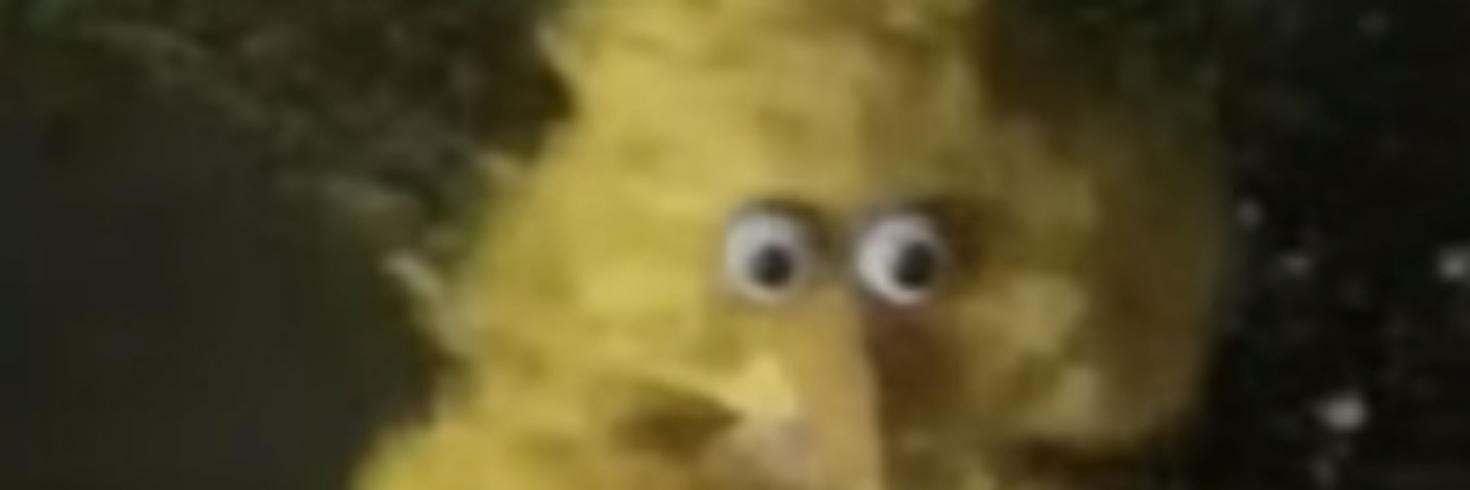 Doofy