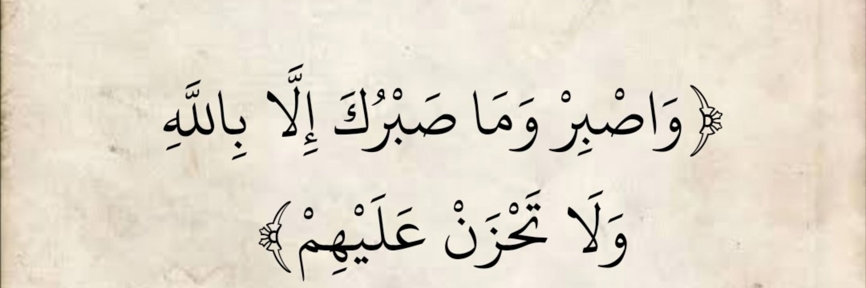 Mahmoud Rady