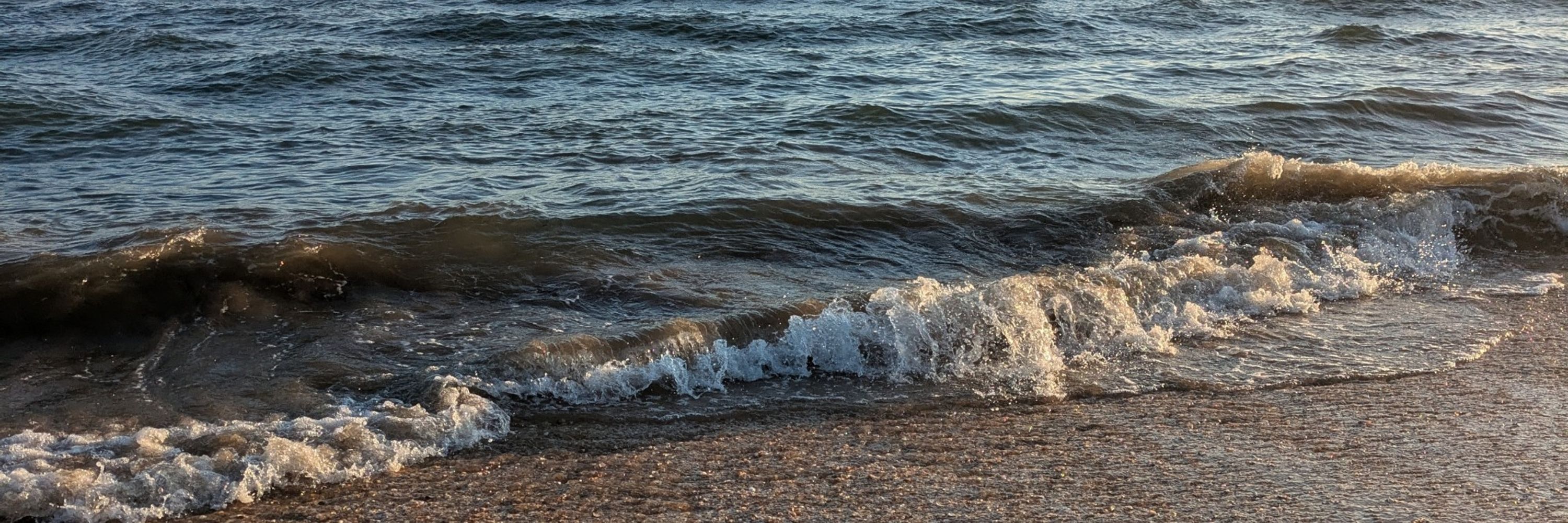 S.🌊