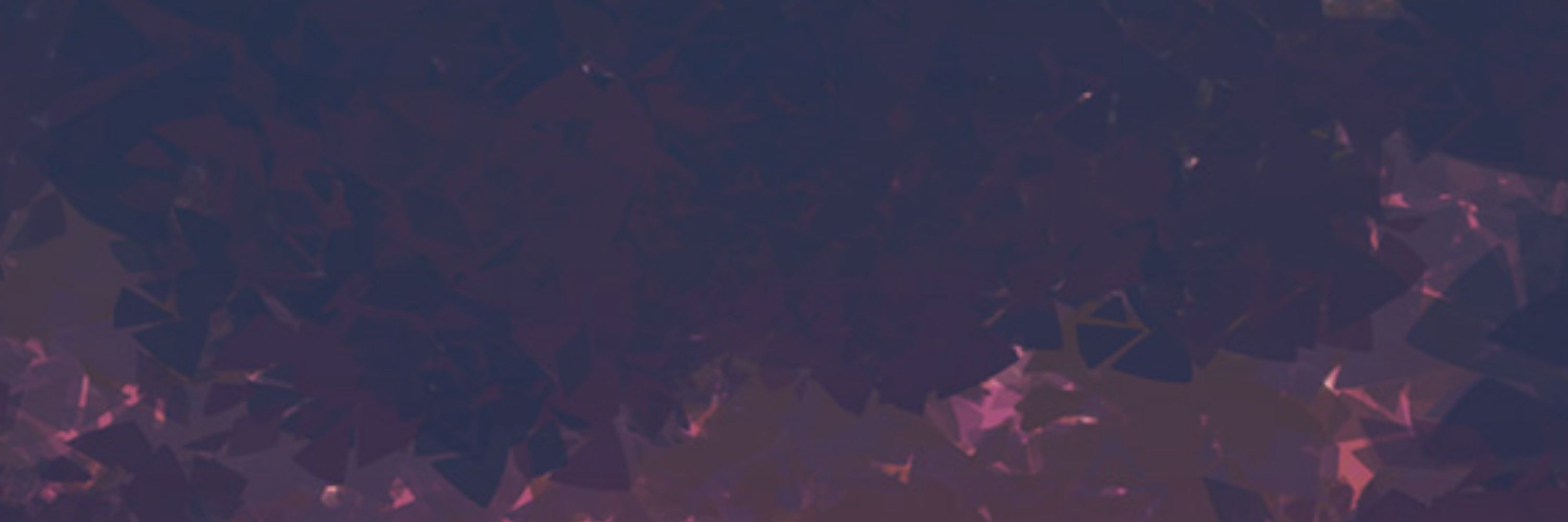 Shadow_knight_cadet