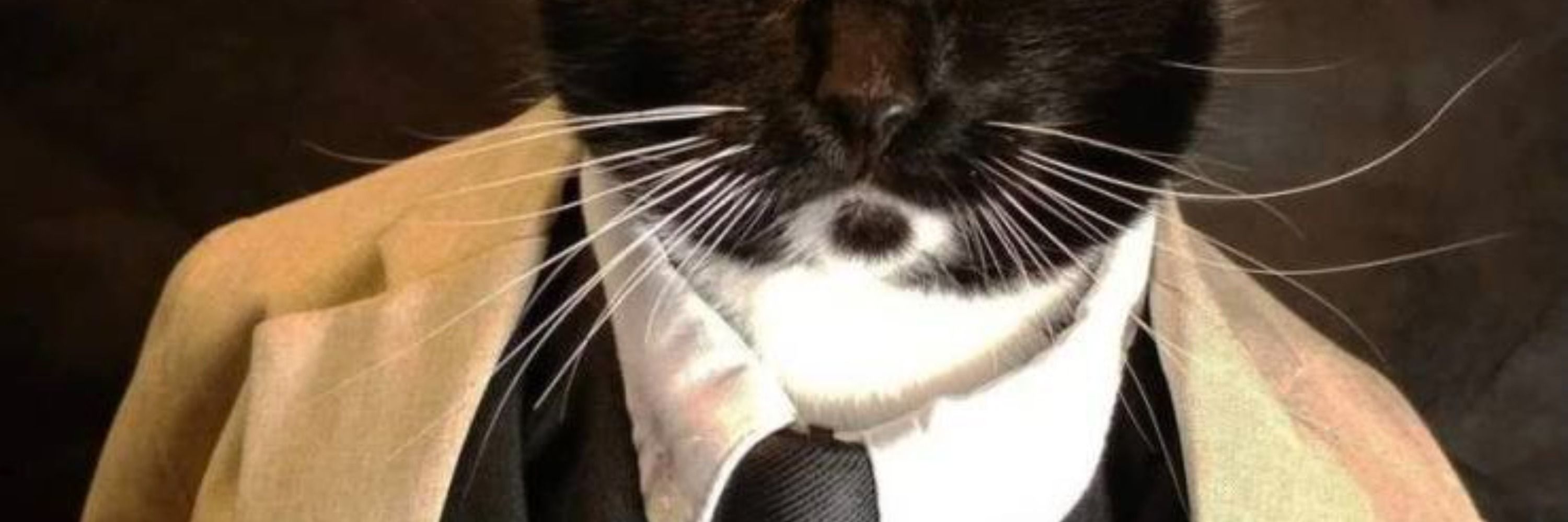 recovering lawyer
