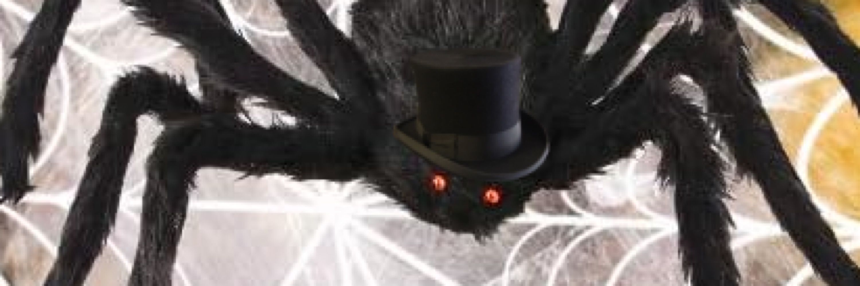 Cain (Thussy)