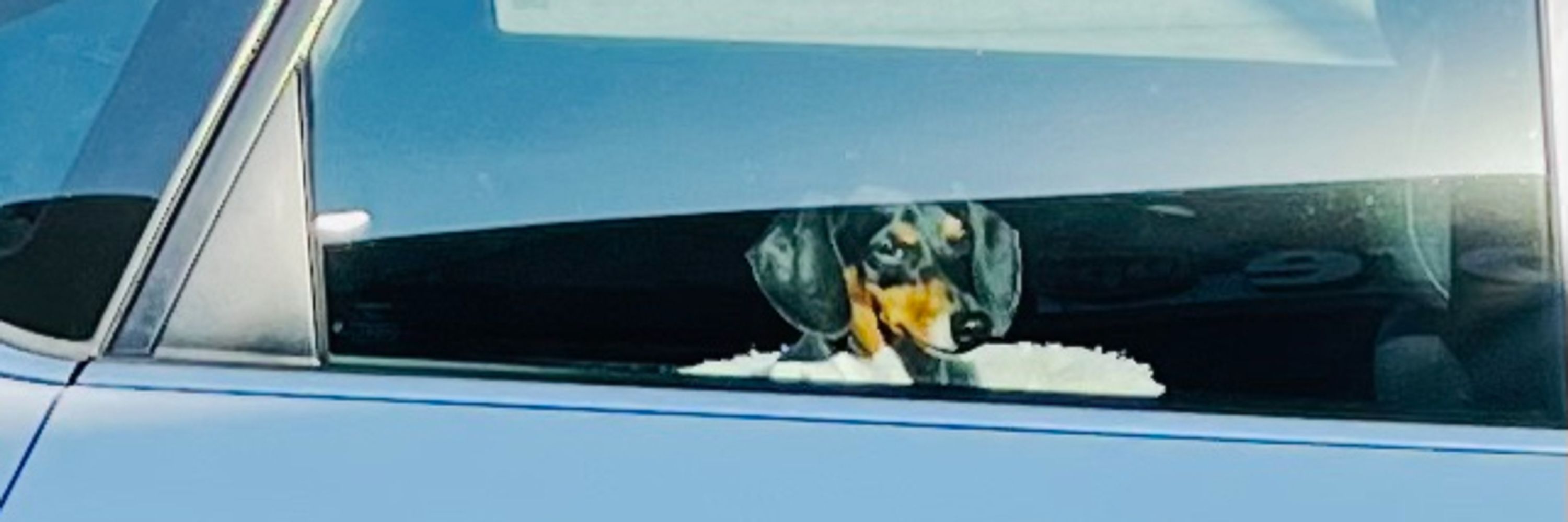 Snoopy