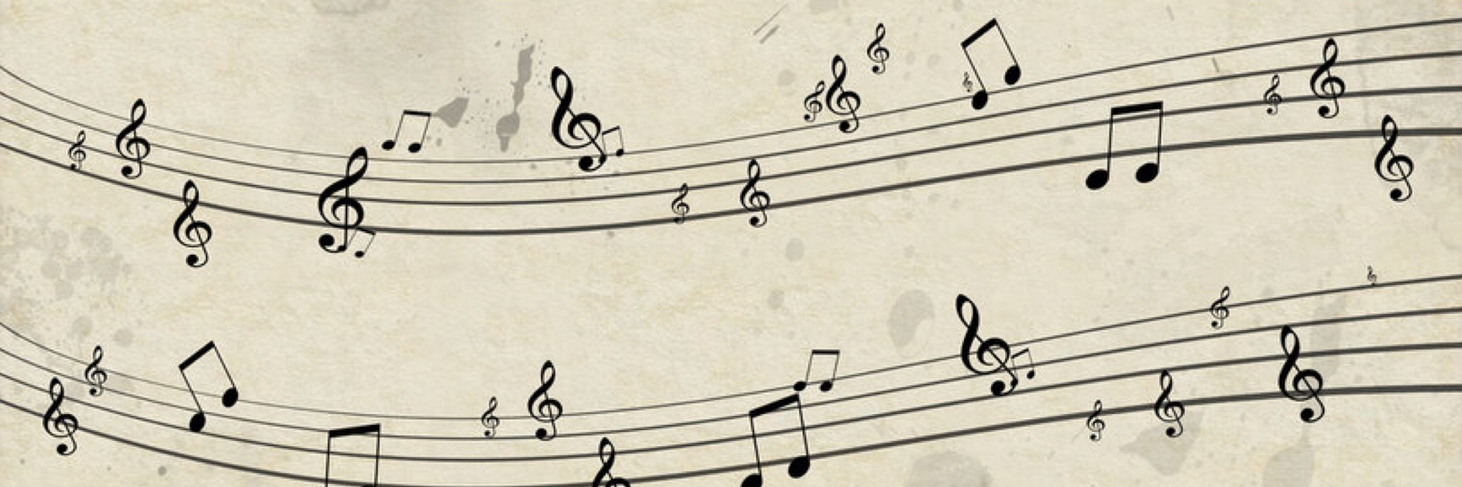🎶Aria🎶