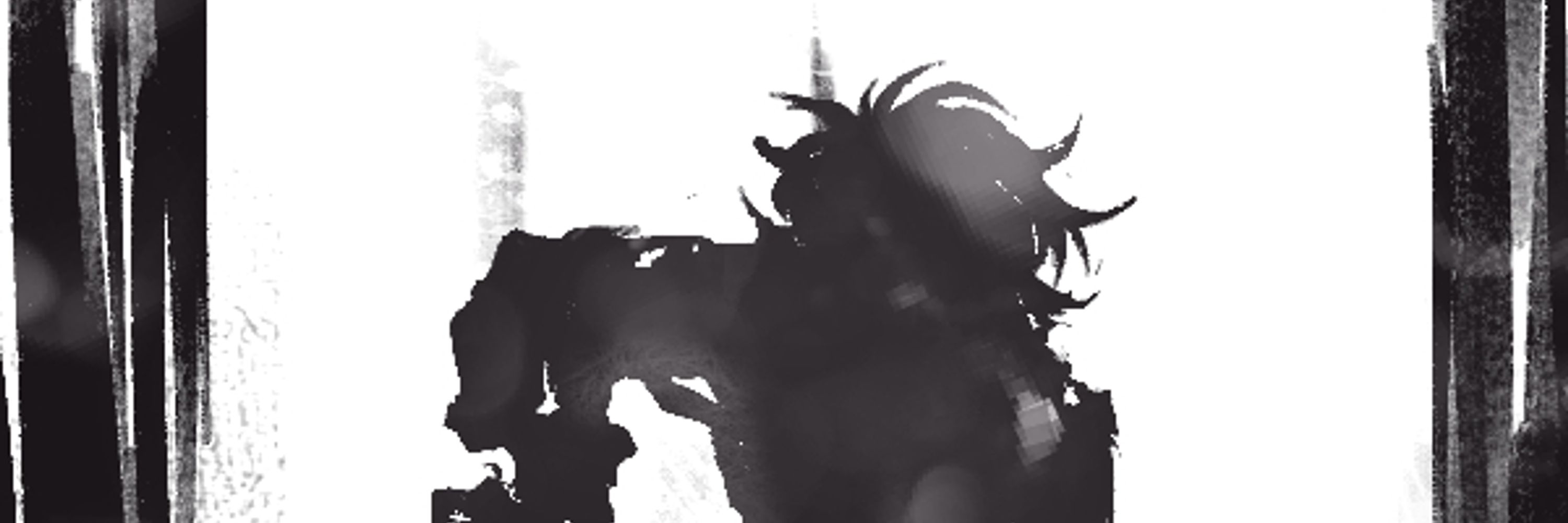 zappy