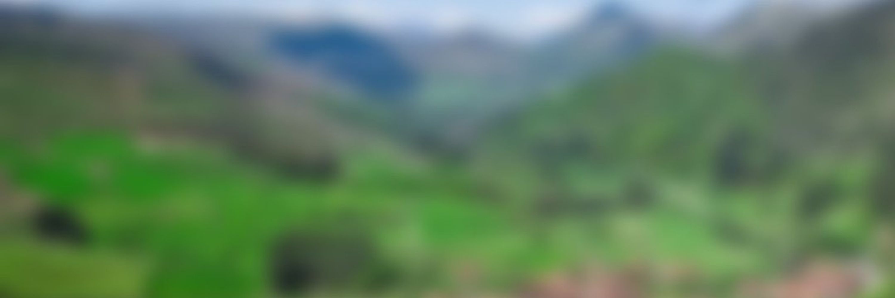 GameDev Cantabria