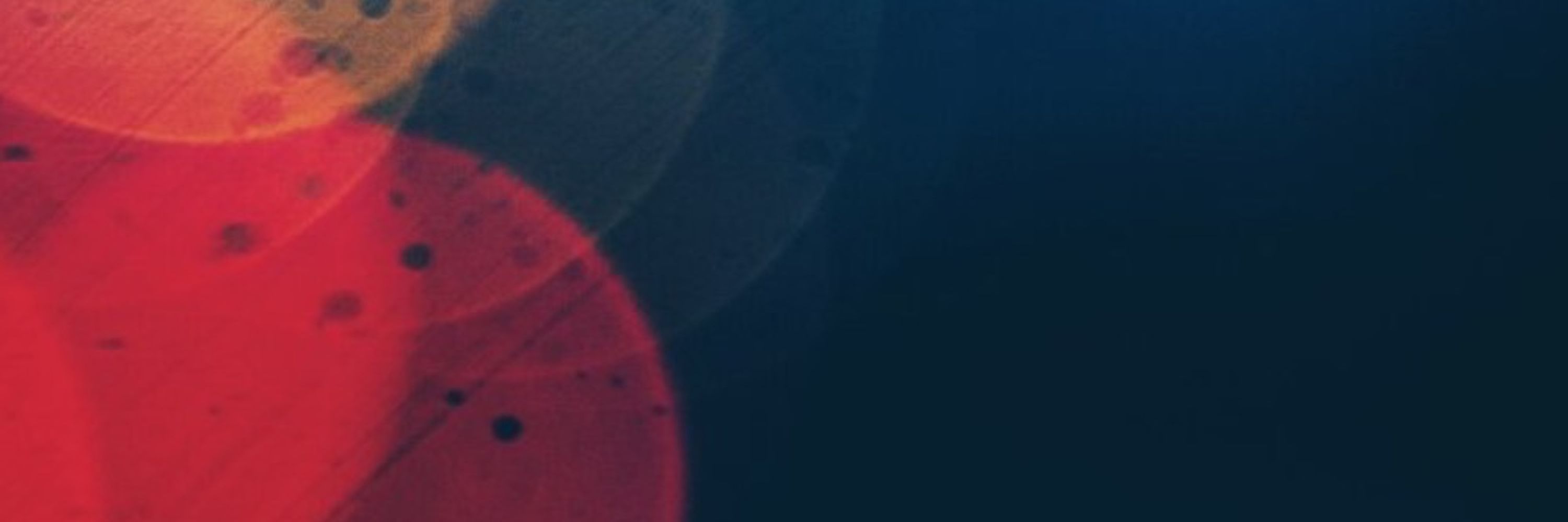 TINT - Centre for Philosophy of Social Science