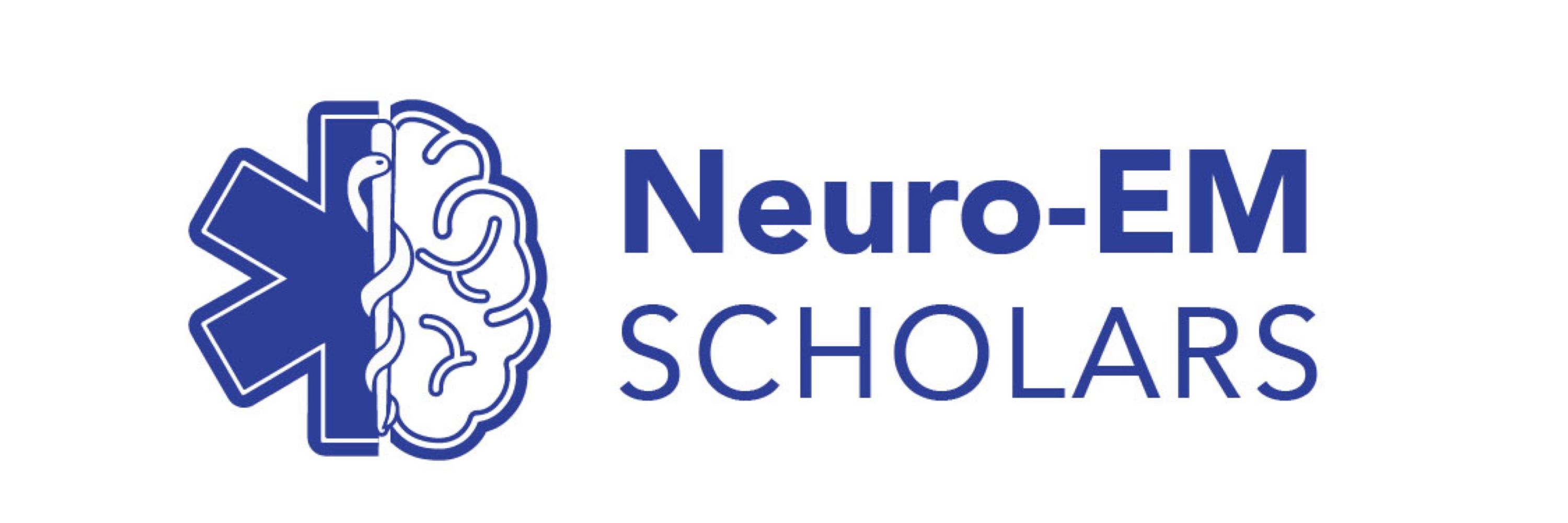 Neuro-EM Scholars Program