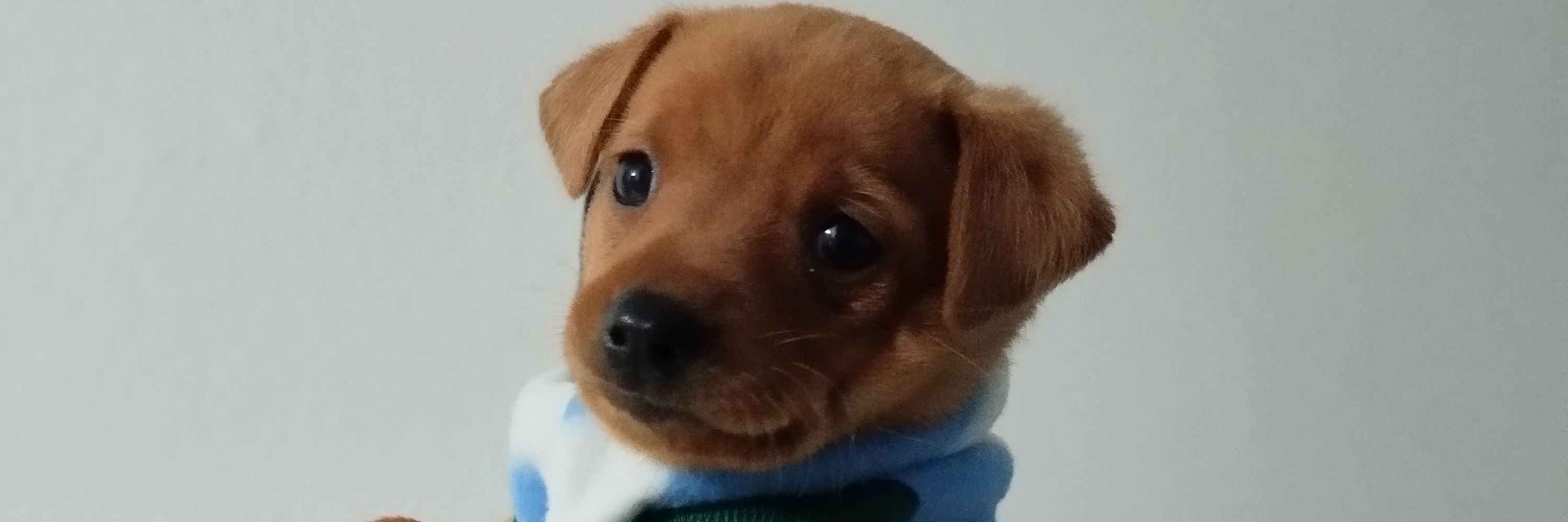 Érika