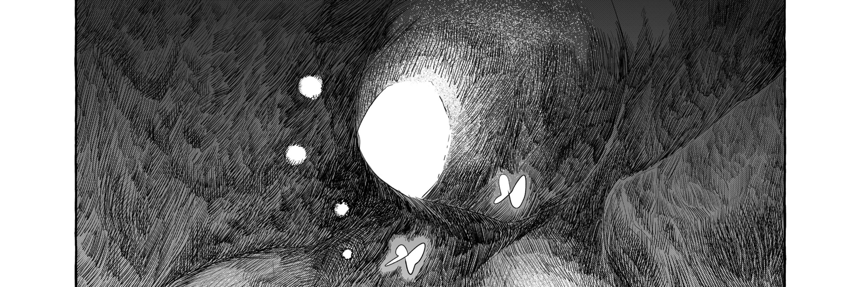 ▲