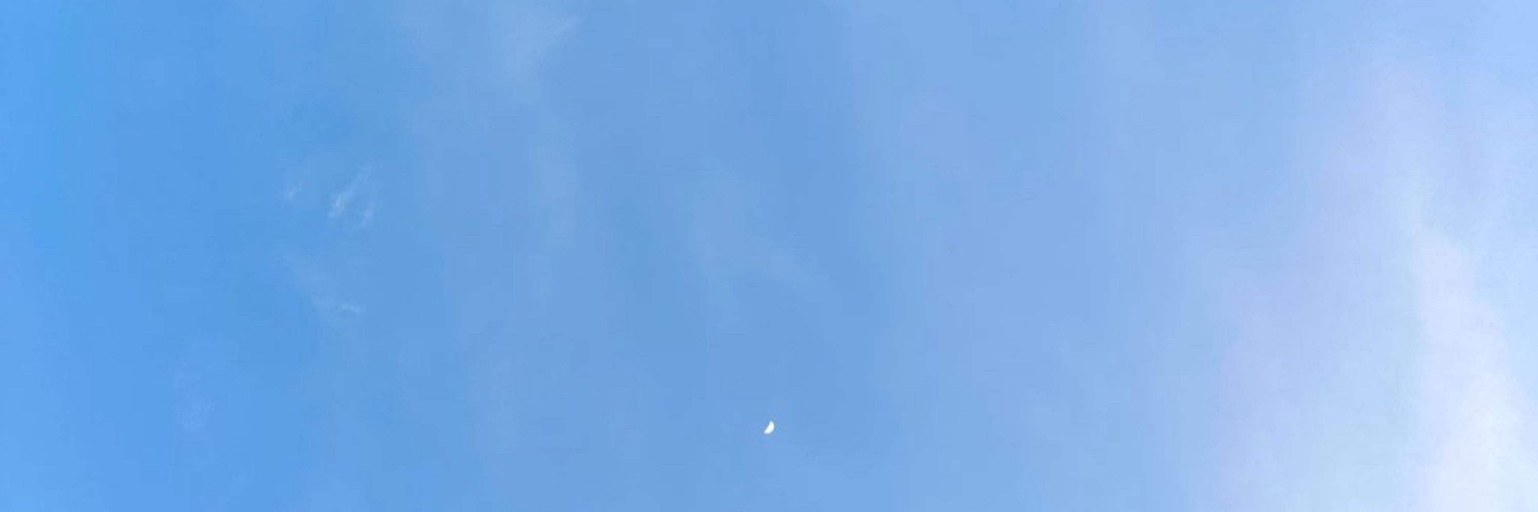 にゃんまる。