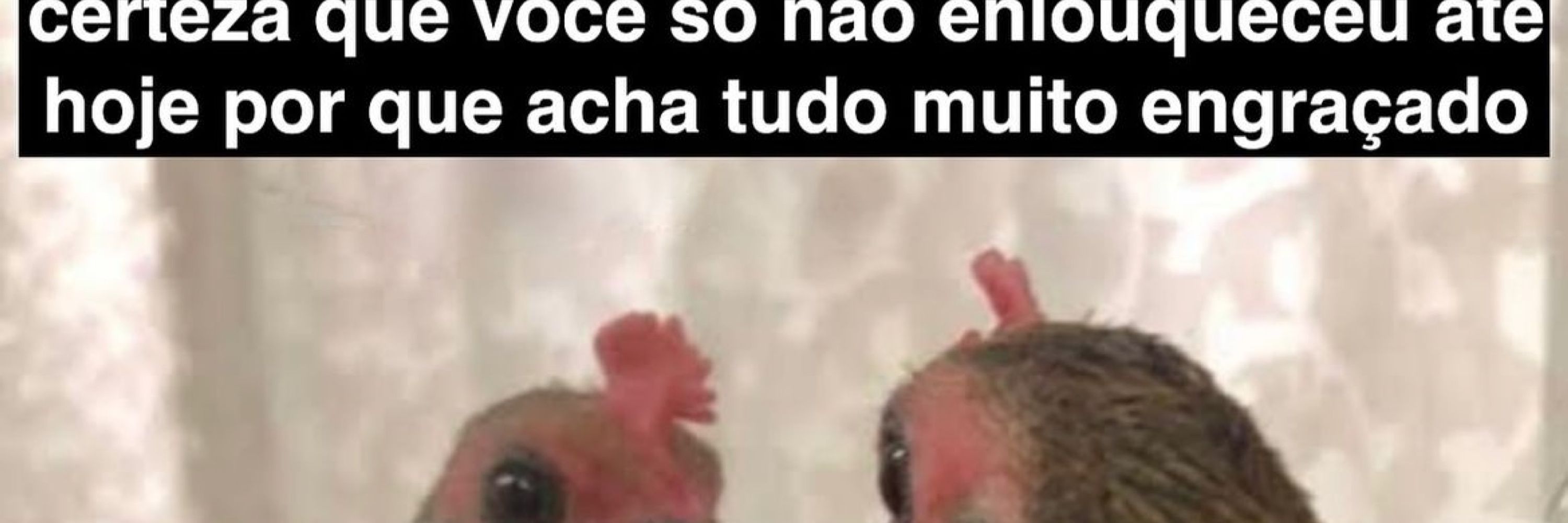 Maria do Bairro