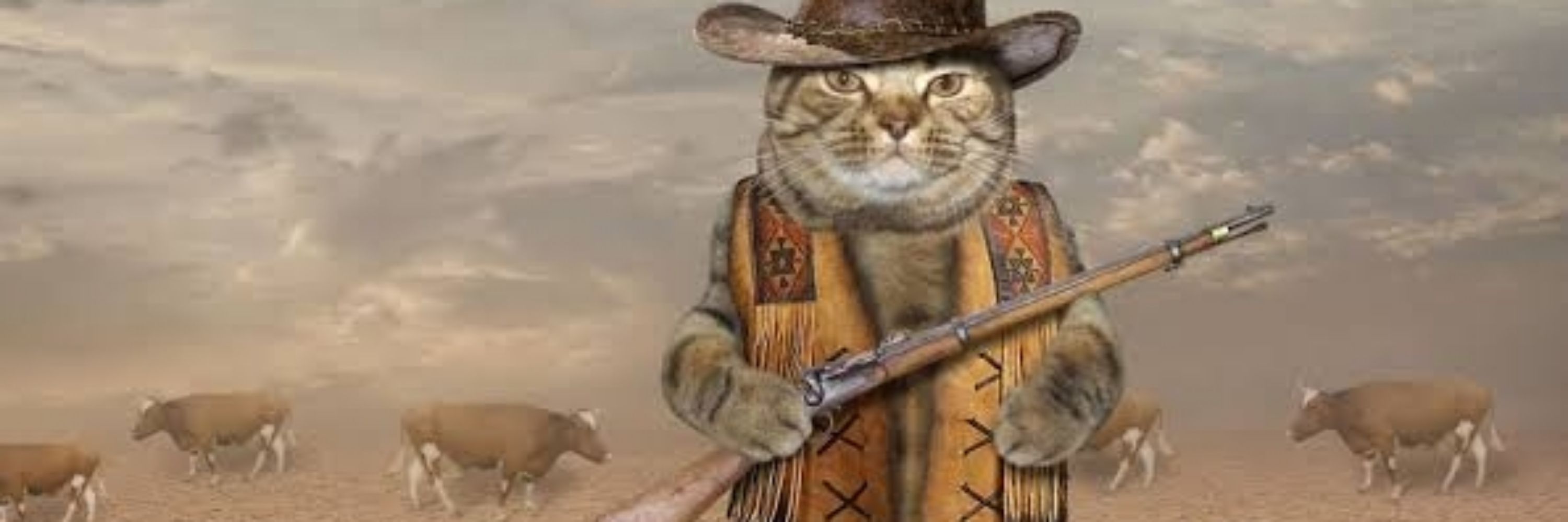gato vaqueiro