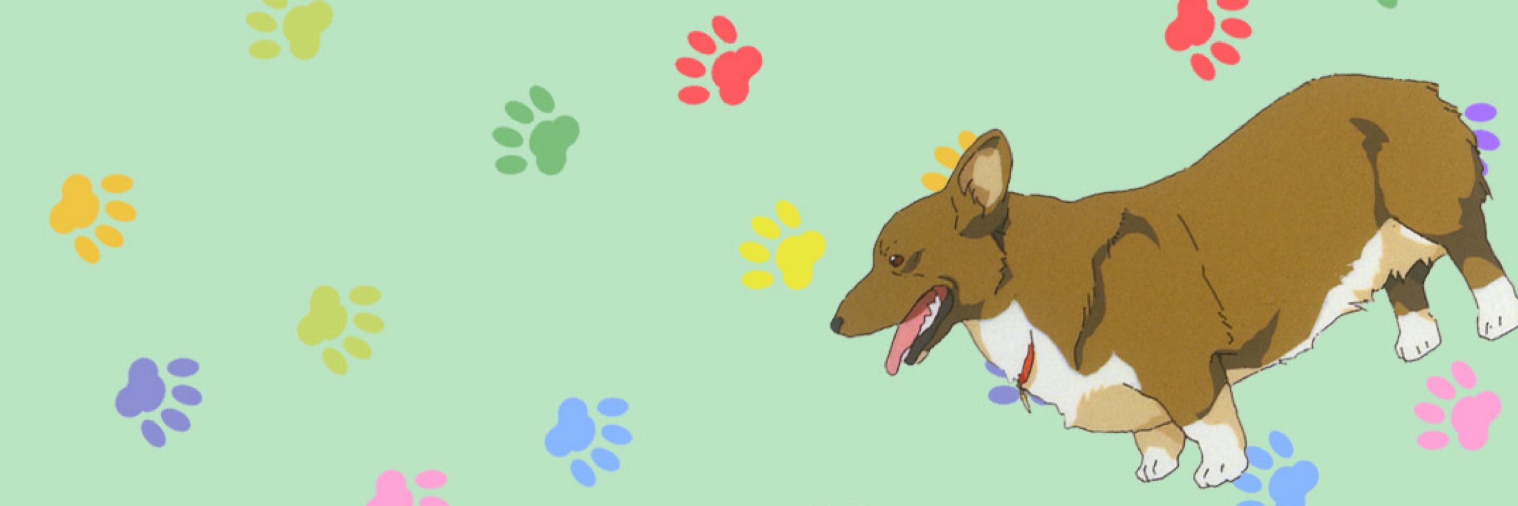 たねきちM
