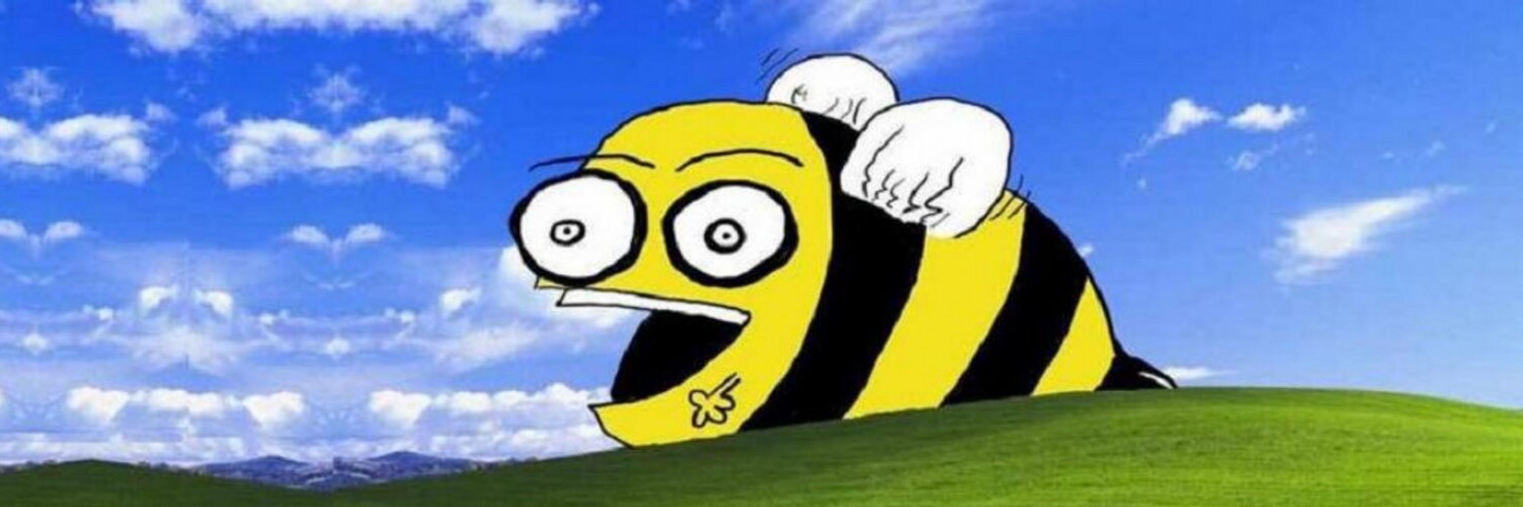 BeccaGo