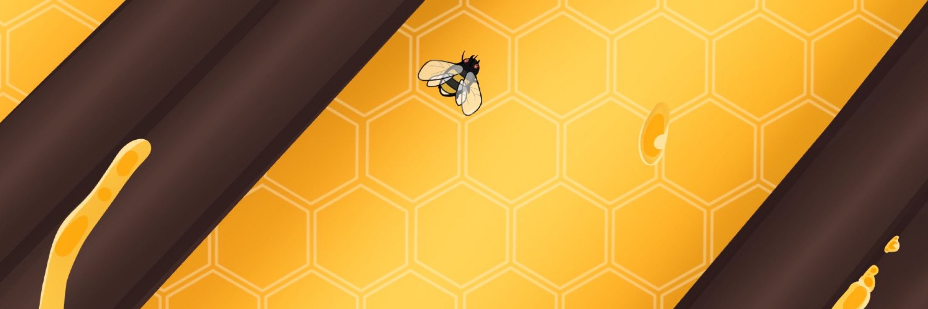 Minii 🐝