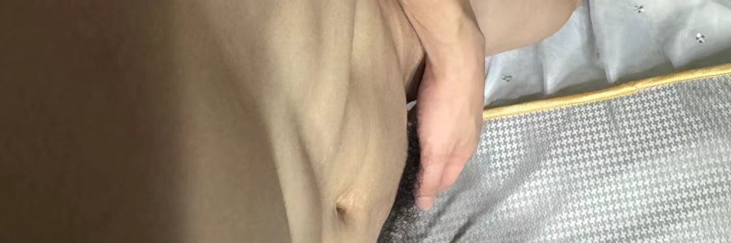 不吃折耳根