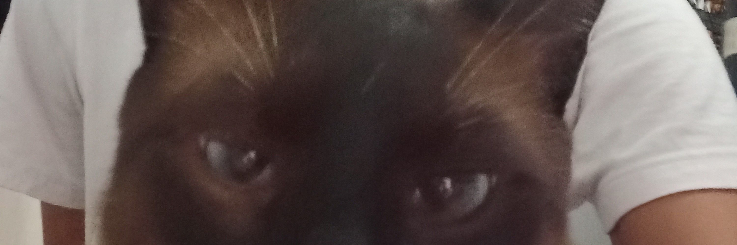 Juan