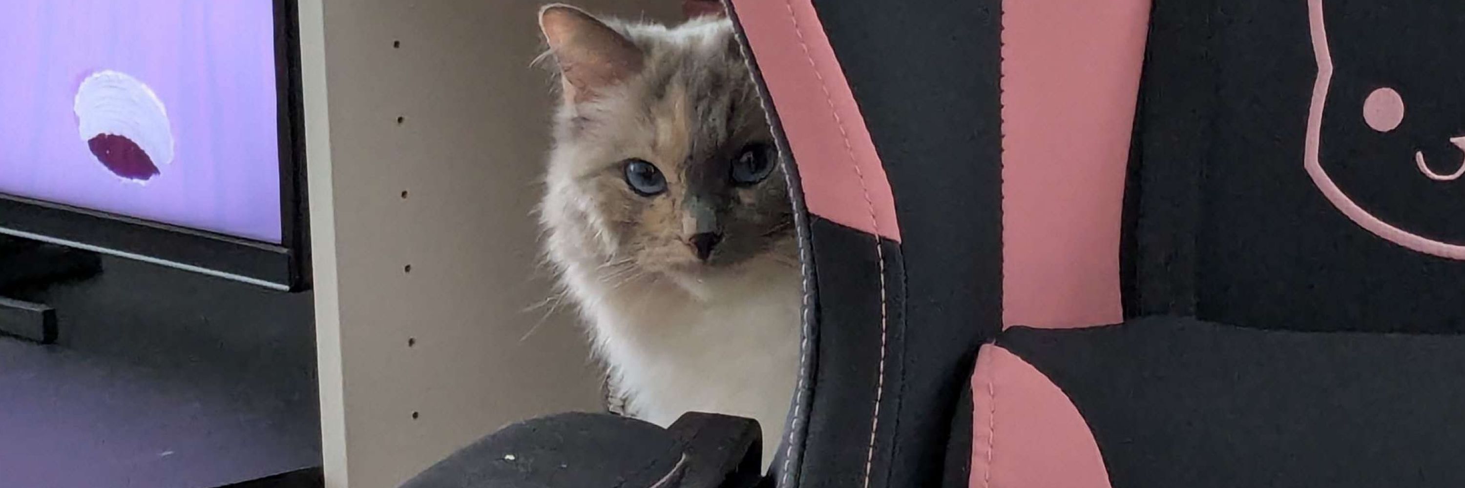 Freya ♡