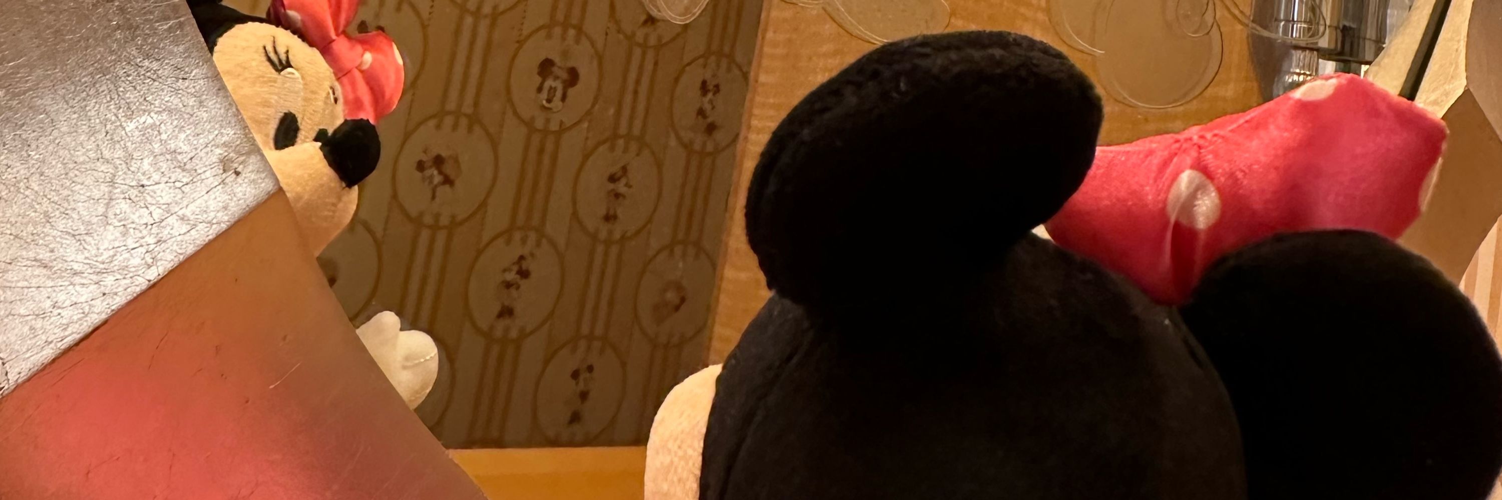 のこ