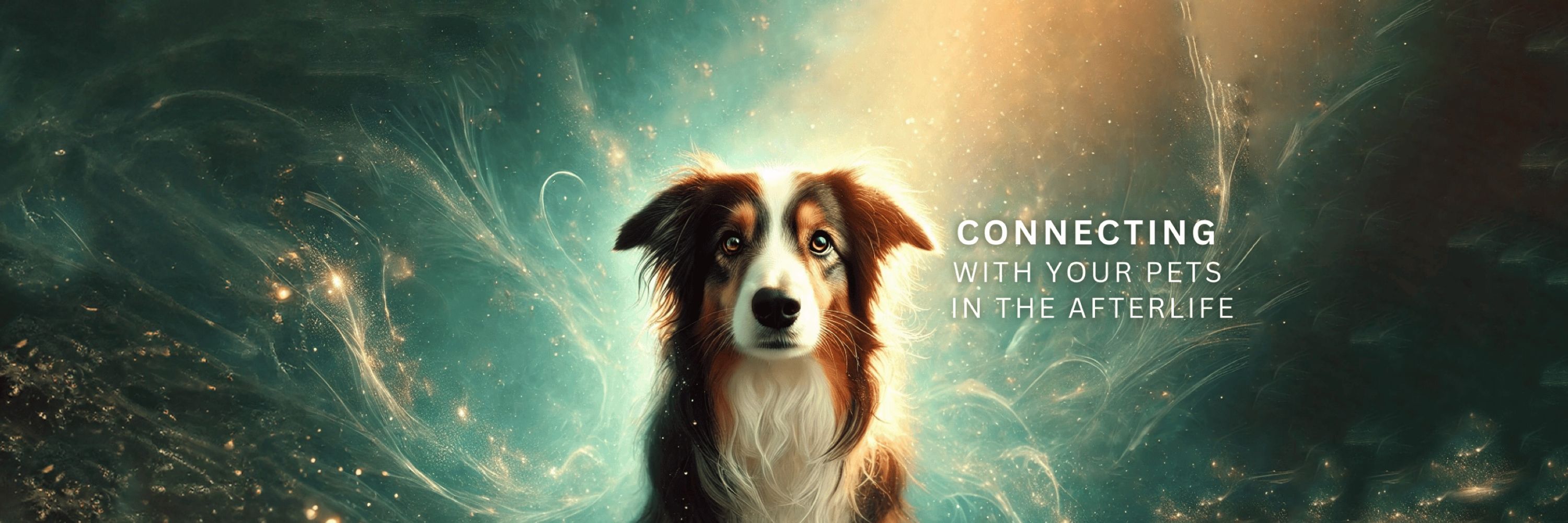 Danielle MacKinnon - Animal Communicator