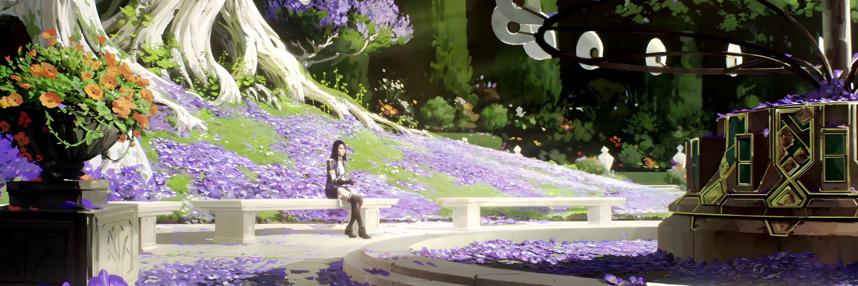 daily caitlyn