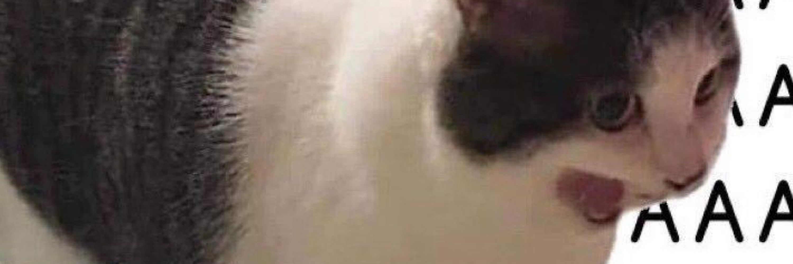 LurkConDe