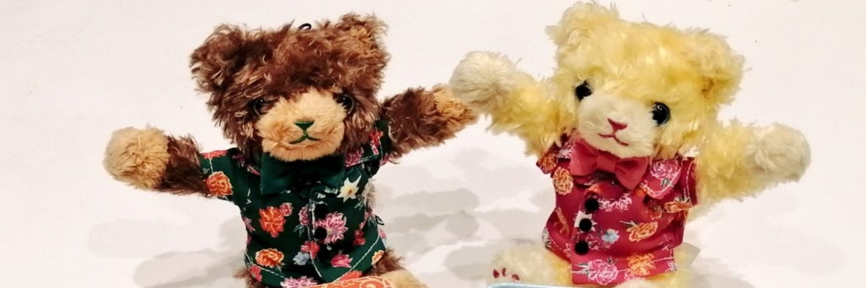 モカ🐻‍