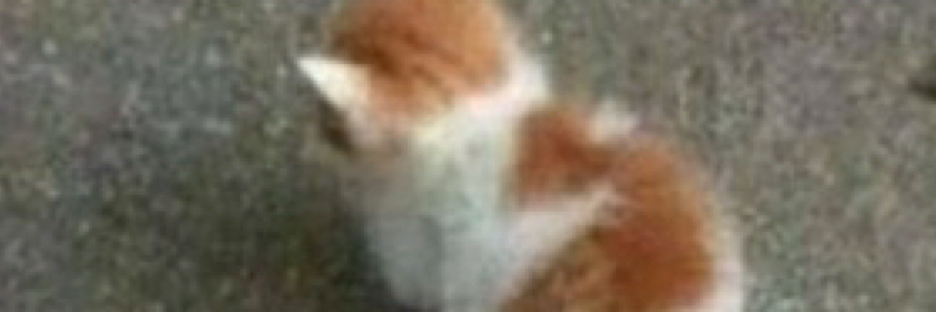 very