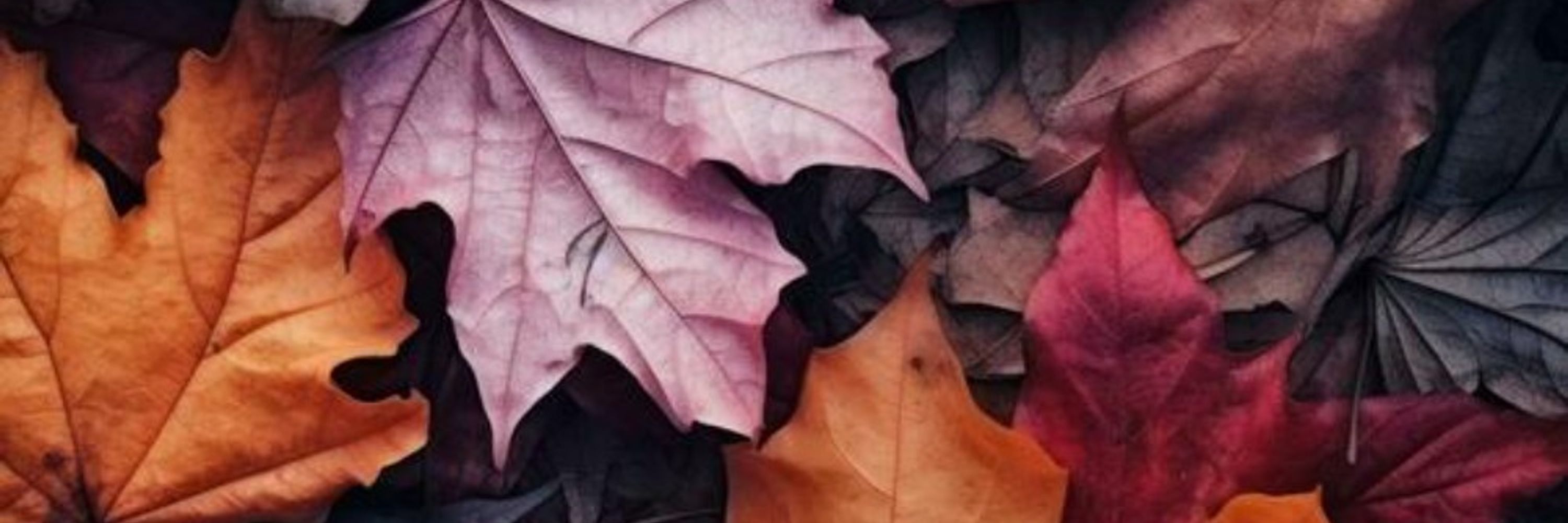 🍁Its Cold🍁 