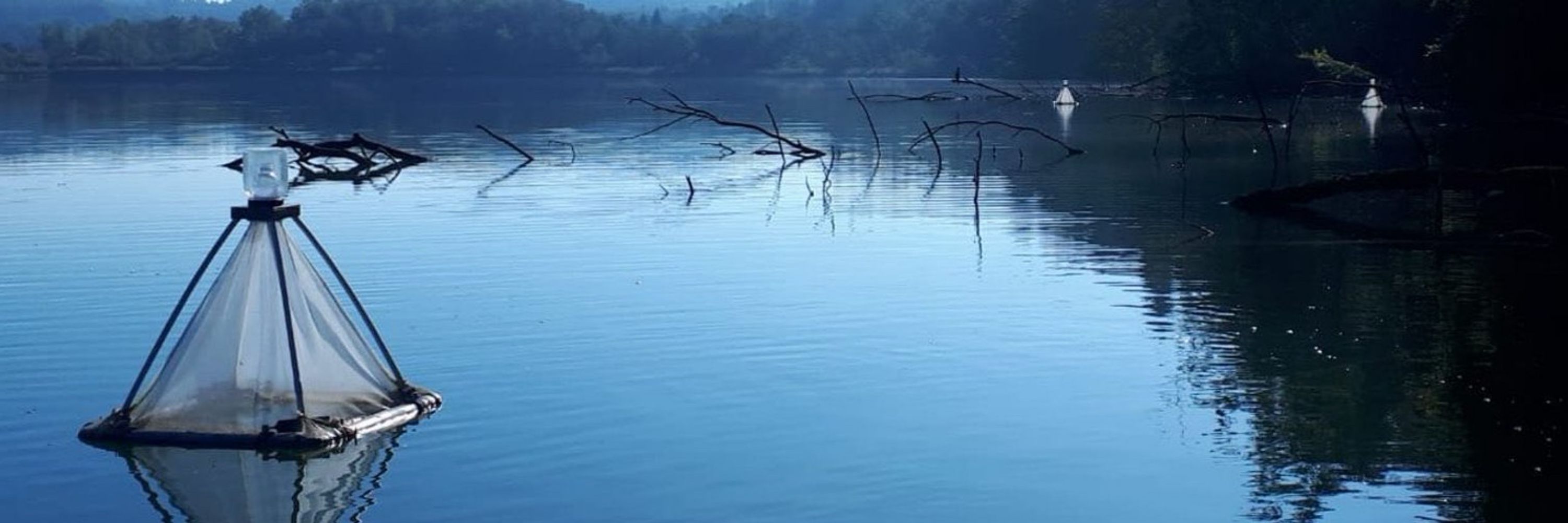 Department of Aquatic Ecology, BTU