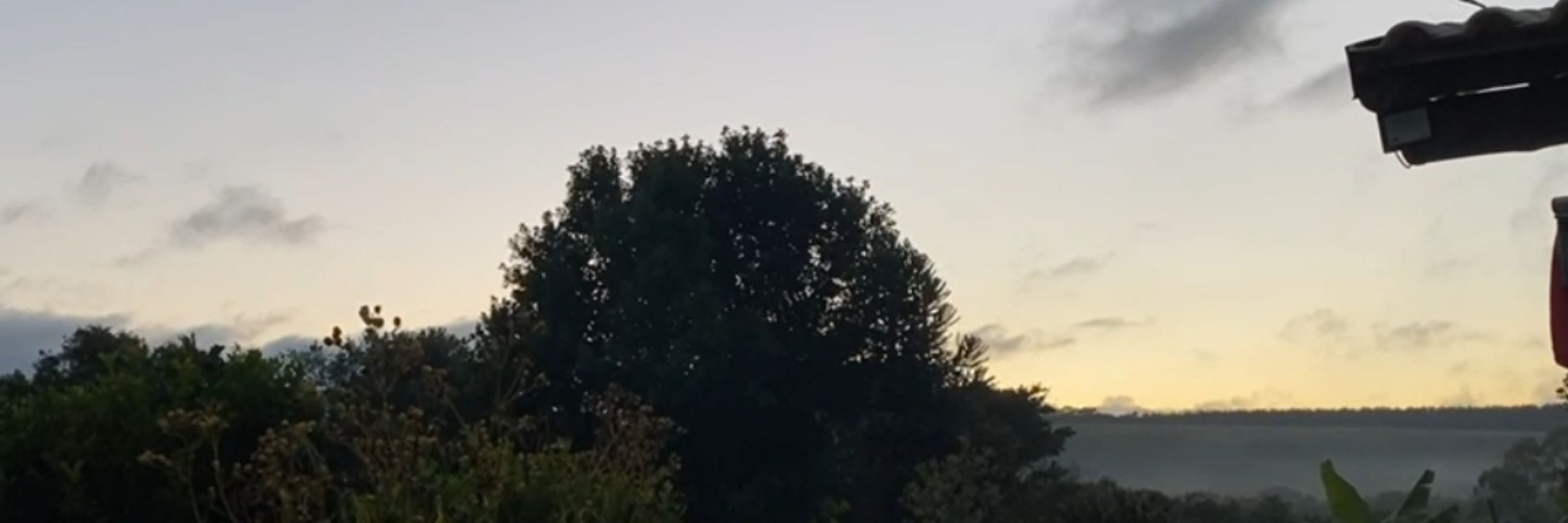 helo