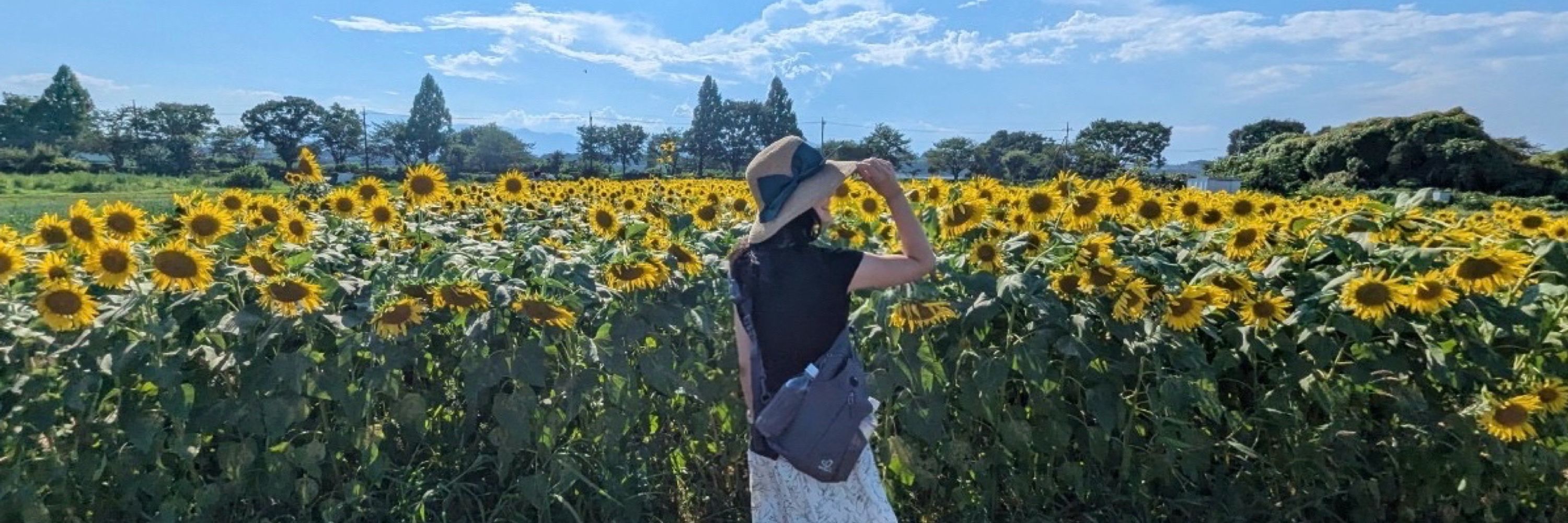 レイ💐