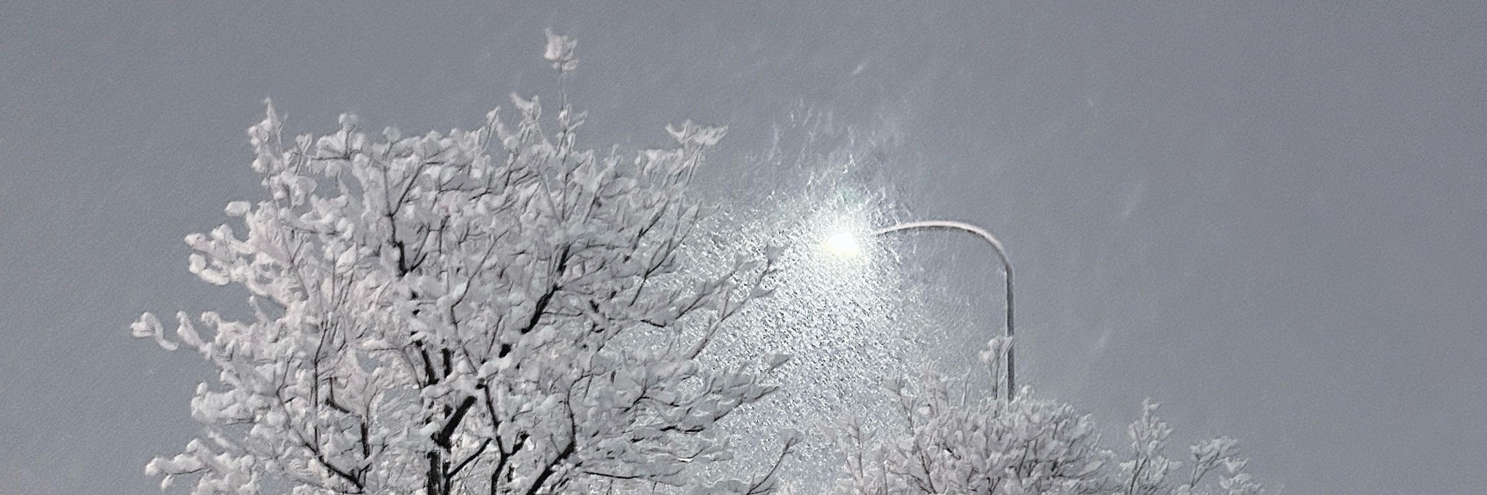 益田
