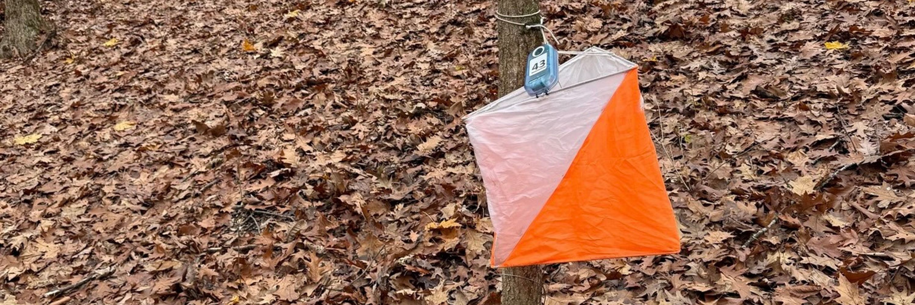 Badger Orienteering Club