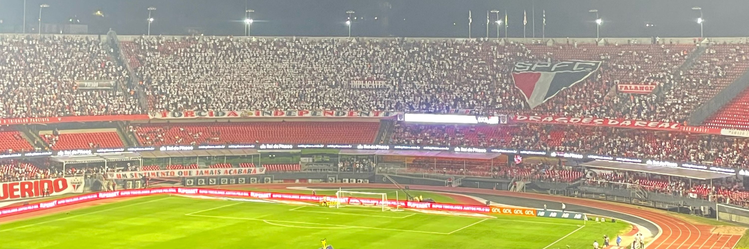 alecrim dourado 🇾🇪