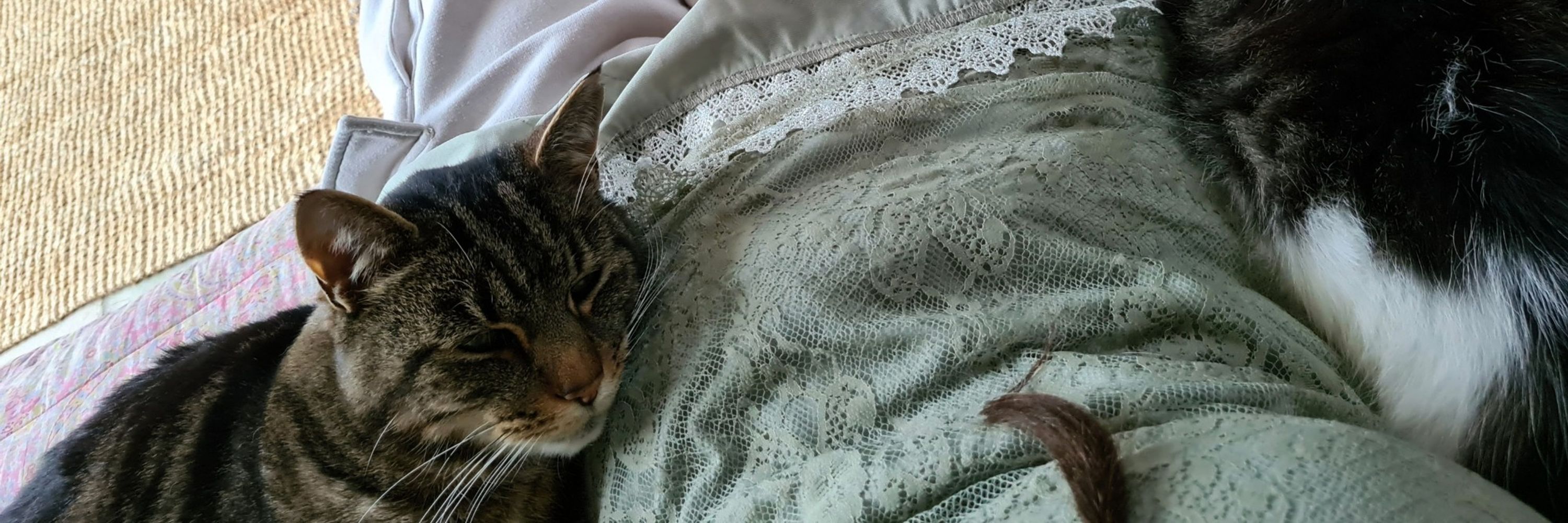 Freya
