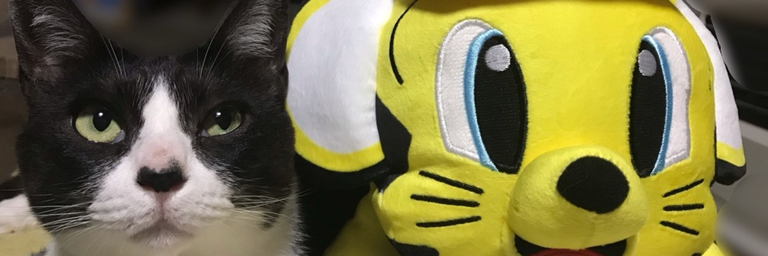 にゃま