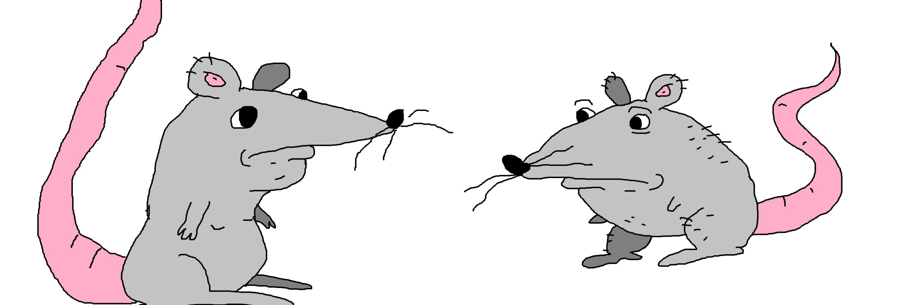 Content Rat